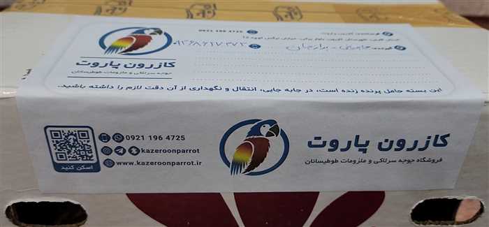 ارسال جوجه سرلاکی طوطی راهب به برازجان