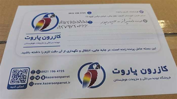ارسال جوجه طوطی گرینچیک به شیراز