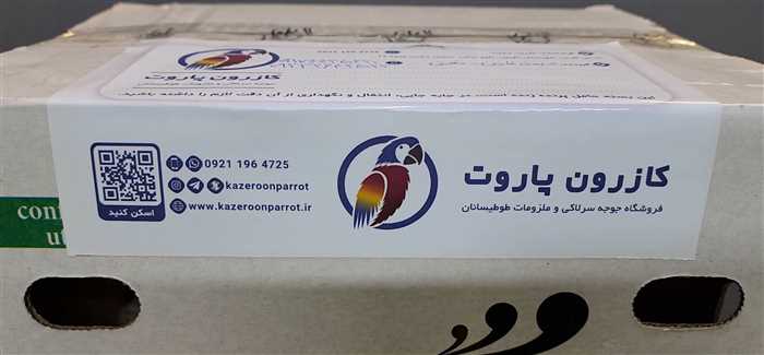 ارسال جوجه طوطی راهب به میمند فارس