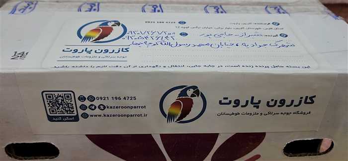 ارسال جوجه طوطی گرینچیک به شیراز