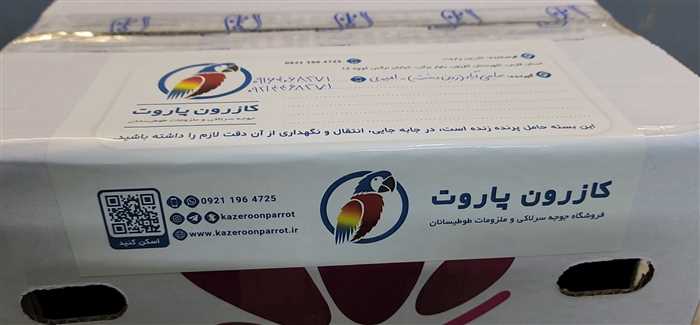 ارسال جوجه طوطی گرینچیک به حاجی آباد(زرین دشت)