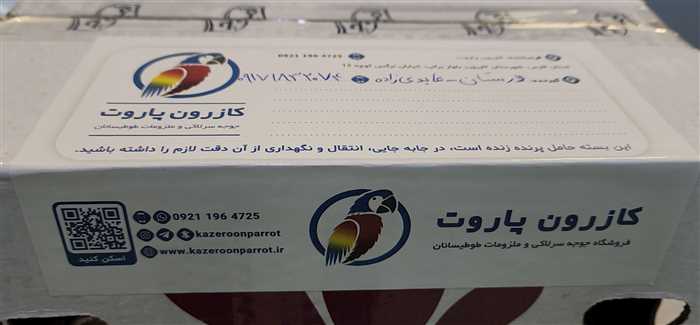 ارسال جوجه طوطی راهب به لارستان