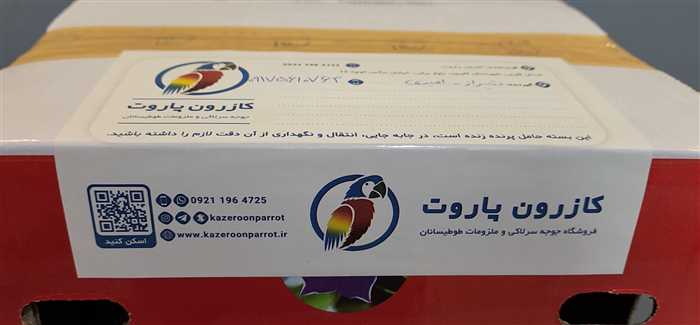 ارسال جوجه سرلاکی طوطی خورشیدی به شیراز