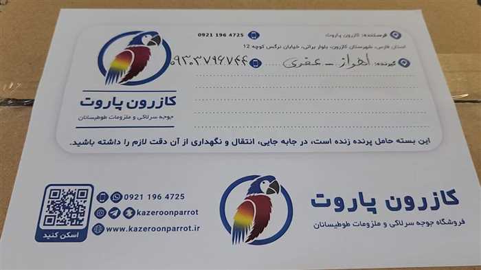 ارسال جوجه طوطی گرینچیک به اهواز
