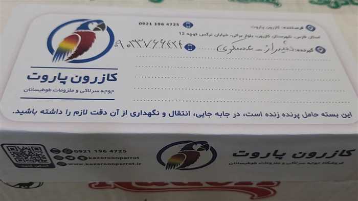 ارسال جوجه طوطی گرینچیک به شیراز