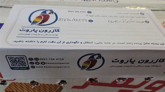 ارسال جوجه طوطی راهب به شیراز