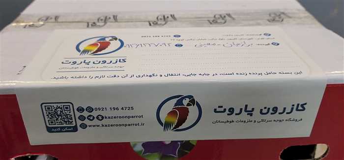 ارسال جوجه طوطی راهب به برازجان