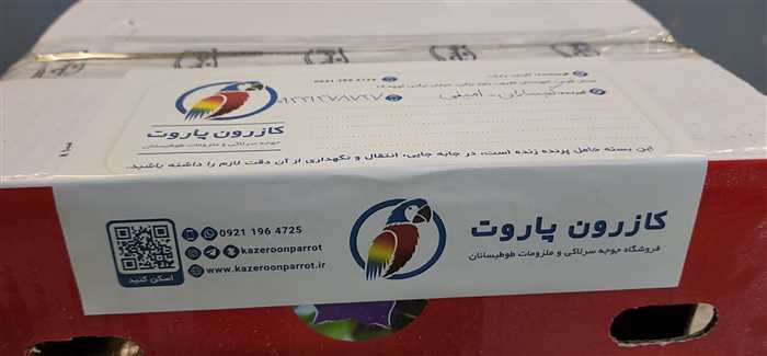 ارسال جوجه طوطی گرینچیک به گچساران