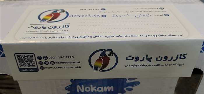 ارسال جوجه طوطی گرینچیک به برازجان