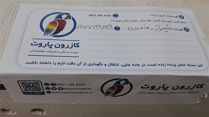 ارسال جوجه طوطی راهب به شیراز