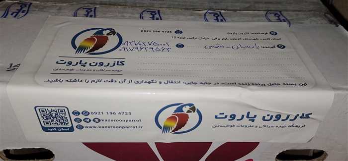 ارسال جوجه طوطی گرینچیک به پارسیان