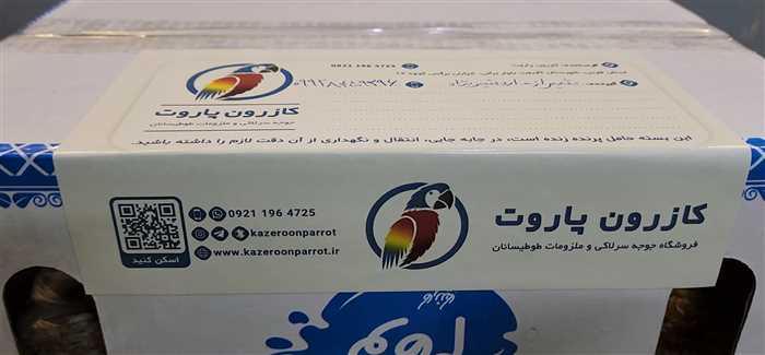 ارسال جوجه طوطی راهب به شیراز