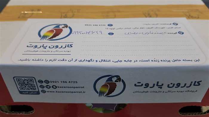 ارسال جوجه سرلاکی طوطی خورشیدی به میمند فارس