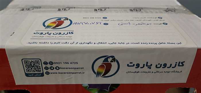 ارسال جوجه سرلاکی طوطی گرینچیک به بوشهر