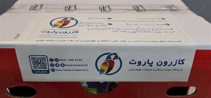 ارسال جوجه طوطی گرینچیک به یزد