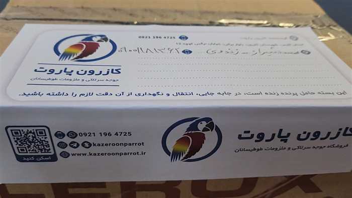 ارسال جوجه طوطی راهب به شیراز